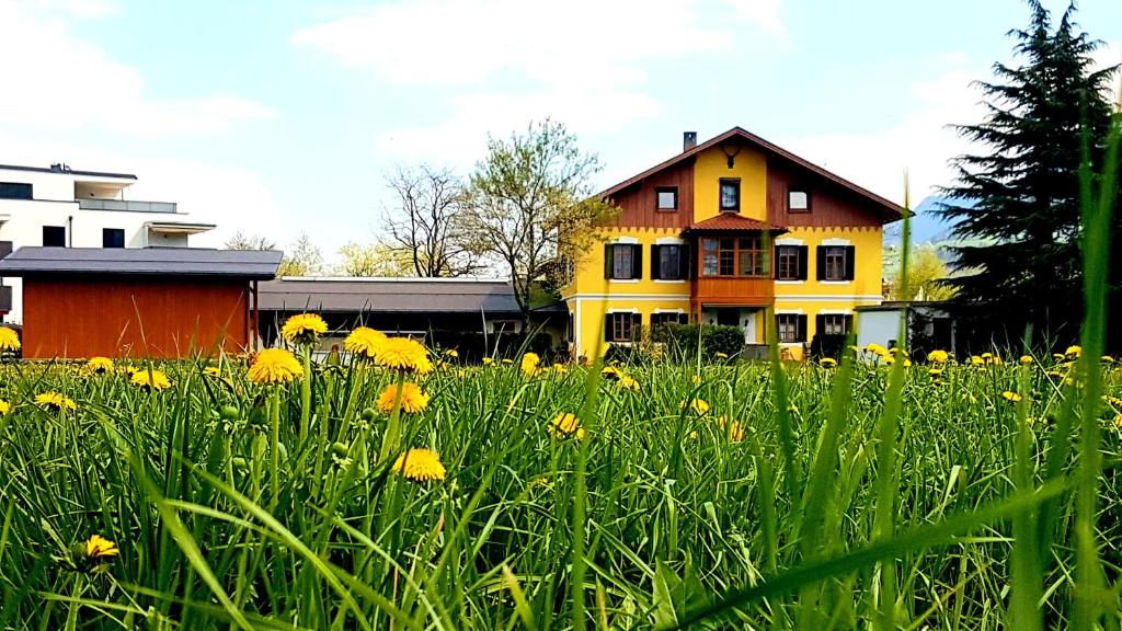 施瓦茨Ferienwohnung Sonnwendhof "Kellerjochblick"的一座房子前面的一片黄花