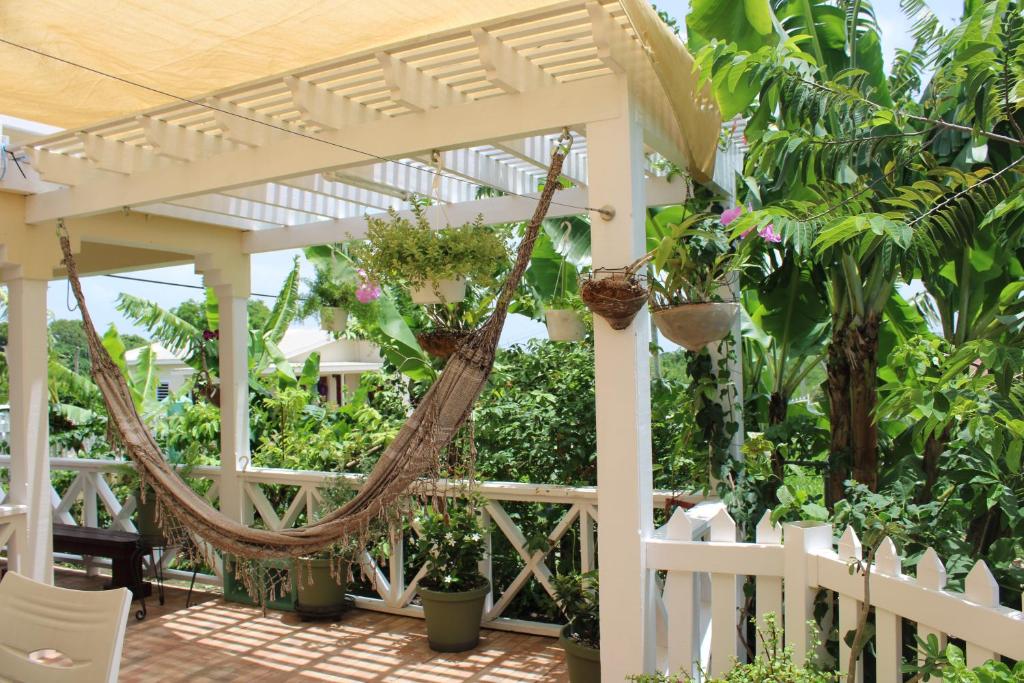 圣约翰斯Tropical Garden Cottage Antigua的绿树凉棚下的吊床