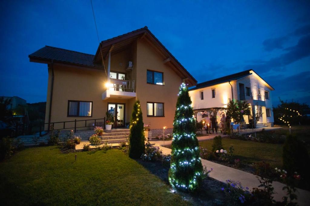 Stroe BeloescuPensiunea Diana的夜晚在房子前面的圣诞树