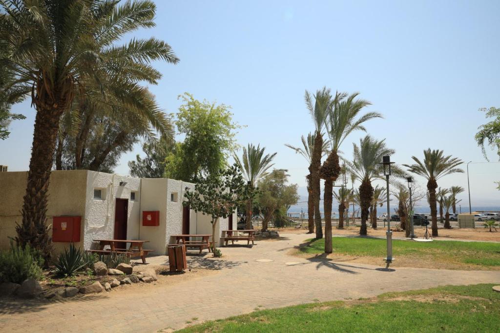 埃拉特SPNI Eilat Field School的棕榈树和长凳的公园和建筑