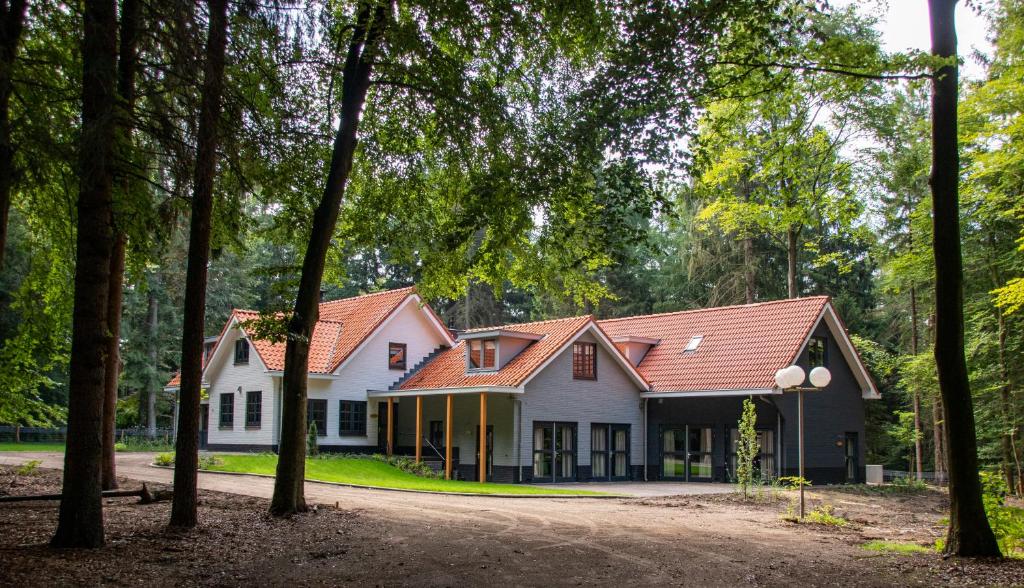 维尔豪特Villa Woudstee的白色的房子,有红色的屋顶和树木