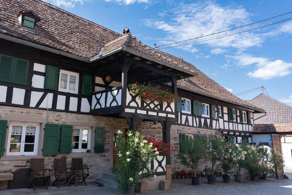 QuatzenheimChambres d'hôtes de charme à la ferme Freysz的一座带绿色百叶窗和鲜花的古老建筑
