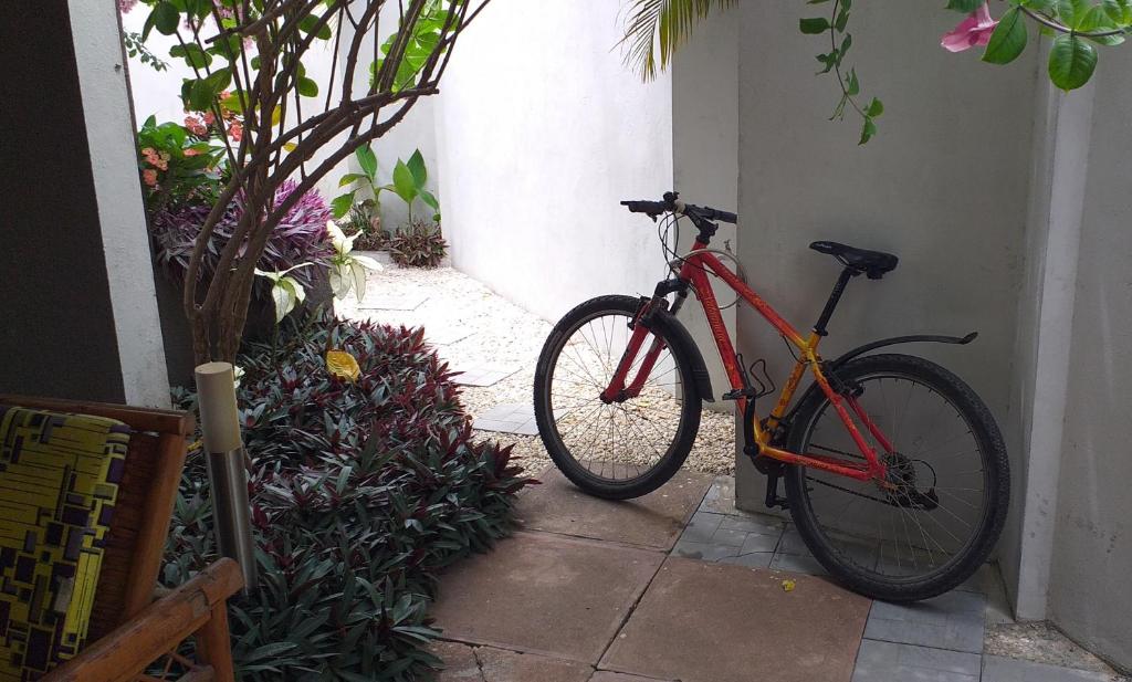科托努KARLS guesthouse的一辆停在墙上的红色自行车