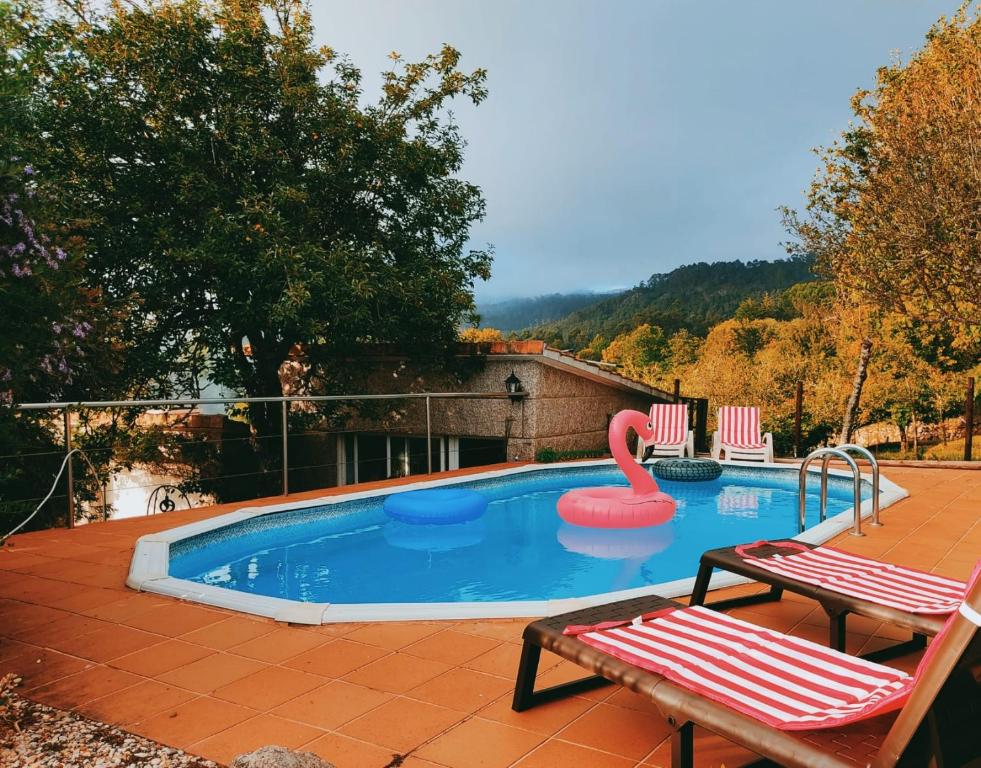 贡多马尔Casa Rural Area con piscina的一个带天鹅浮筒和两把椅子的游泳池