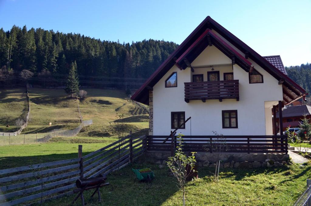 普特纳Pensiunea Daria Putna的白色的小房子,设有木屋顶