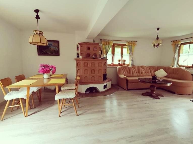 OmšenieChata Baračka的带沙发、桌子和壁炉的客厅