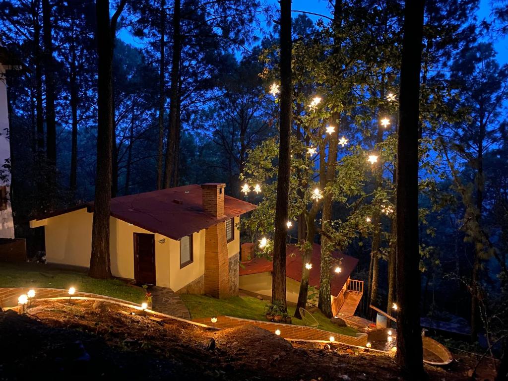 马萨米特拉Cabañas VIP Mazamitla的夜间在树林里带灯的小屋