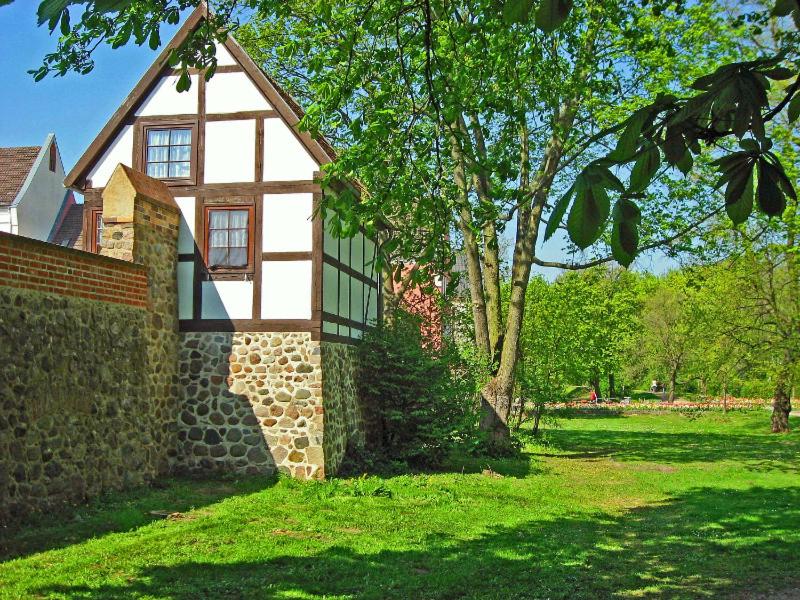 新勃兰登堡Wiekhaus 49的一座石墙和一棵树的房子