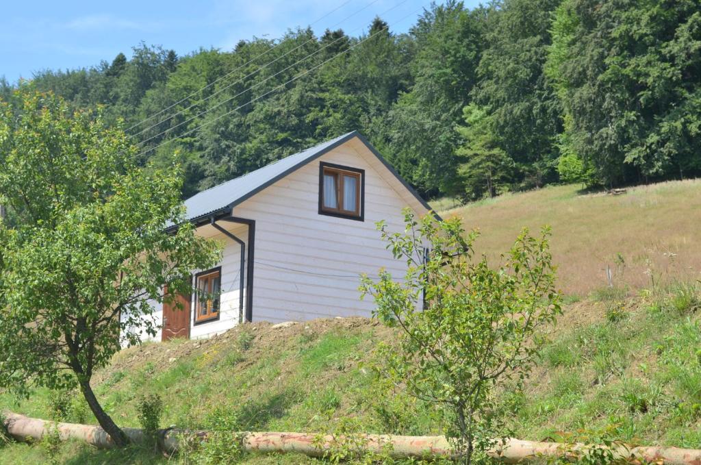 Tyrawa WołoskaDomek Zacisze Gór Słonnych的一座小白房子,位于山丘上,树木繁茂