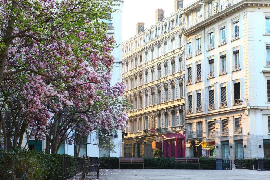 里昂塞尔斯丁酒店的一条城市街道,有建筑和树木,花朵粉红色