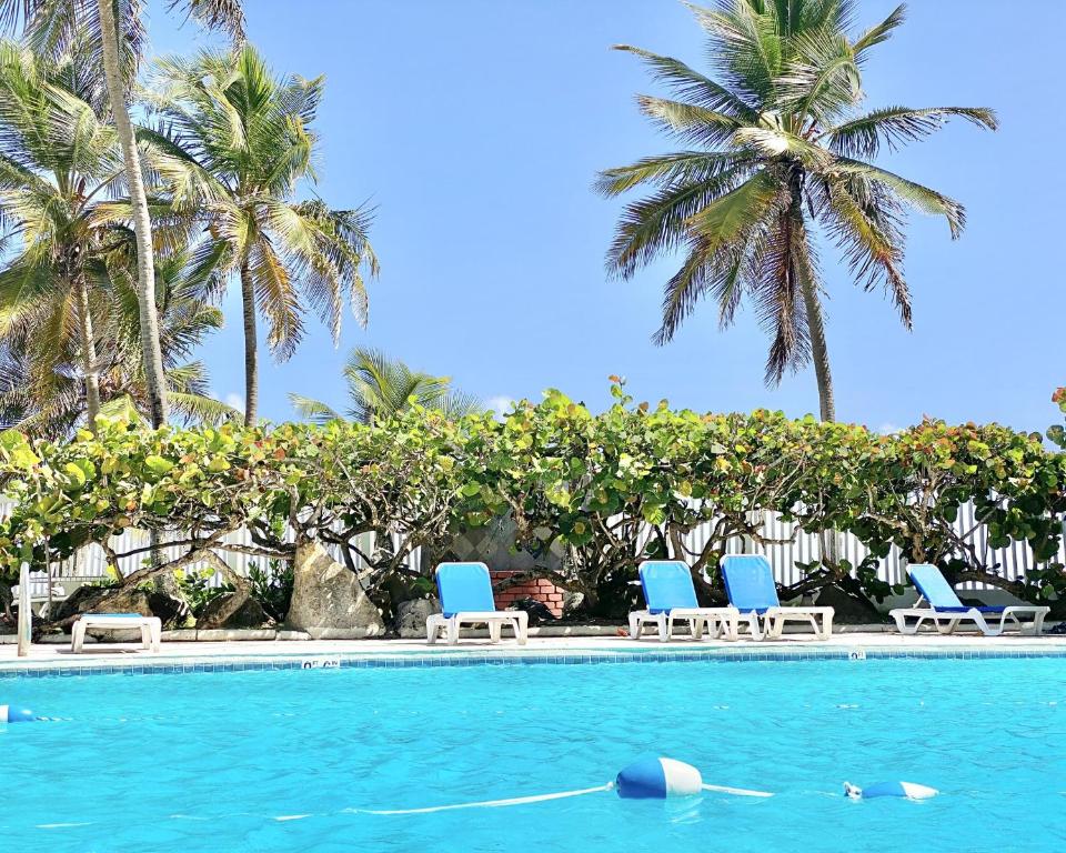 圣胡安KASA El Sol by the Sea with Pool and Parking的一个带蓝色椅子的游泳池,棕榈树