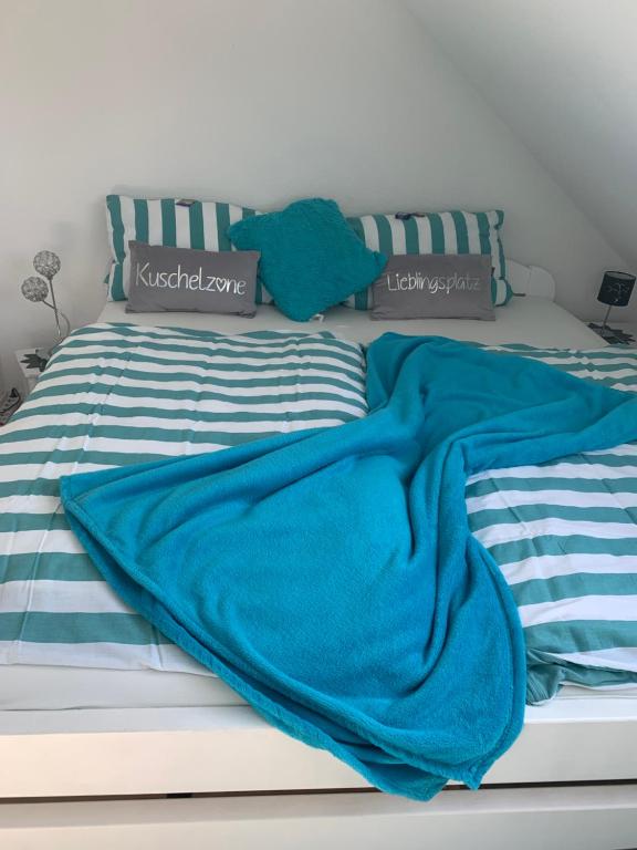 海德Mischa的床上铺着蓝色的毯子