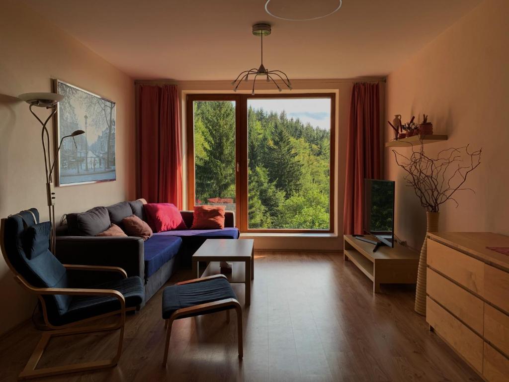 捷克布杰约维采Apartmán Švadlenka的客厅设有蓝色的沙发和大窗户