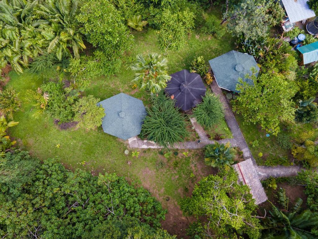 卡维塔Bungalows Aché Cahuita的花园顶部美景,配有遮阳伞