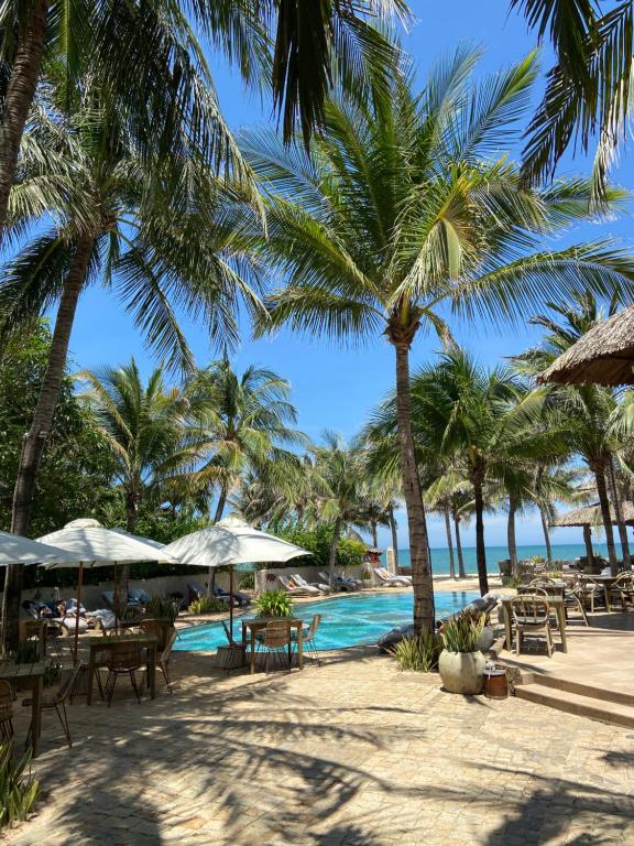 美奈Sailing Club Resort Mui Ne的棕榈树和游泳池度假村
