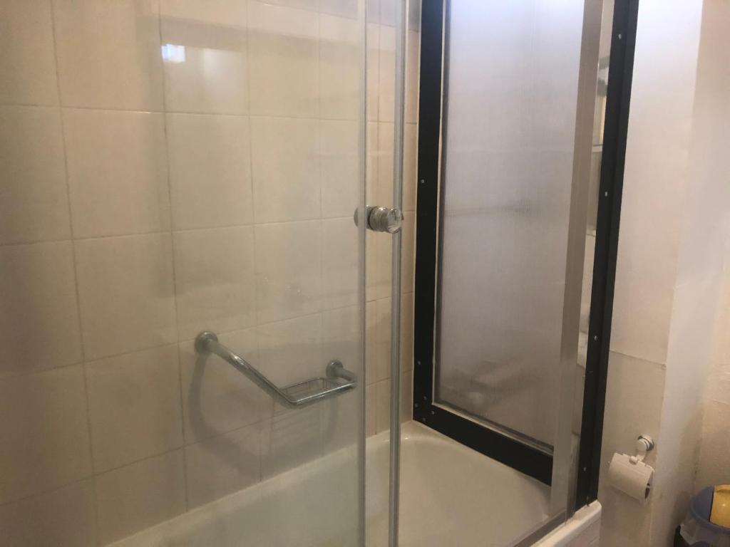 蓬塔阿雷纳斯马蒂科公寓的浴室里设有玻璃门淋浴