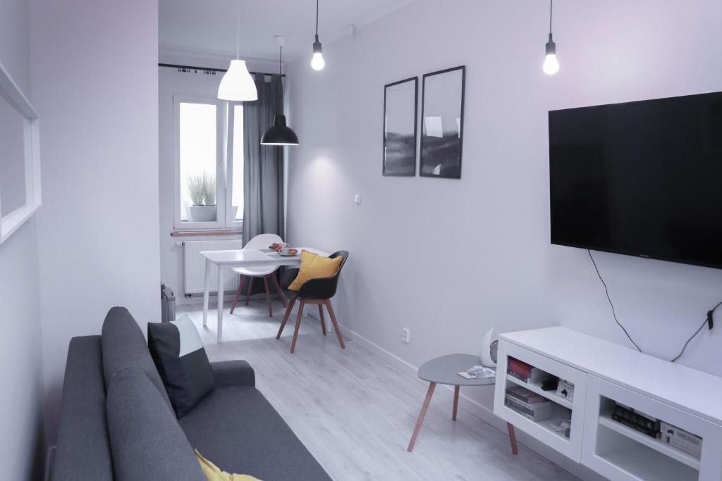 比得哥什Apartamenty Długa 6的带沙发和电视的客厅