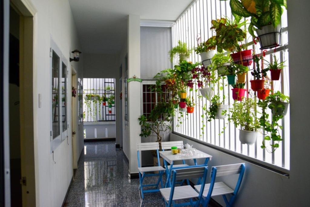 绥和市Blossom Homestay的走廊上摆放着桌子和一束植物