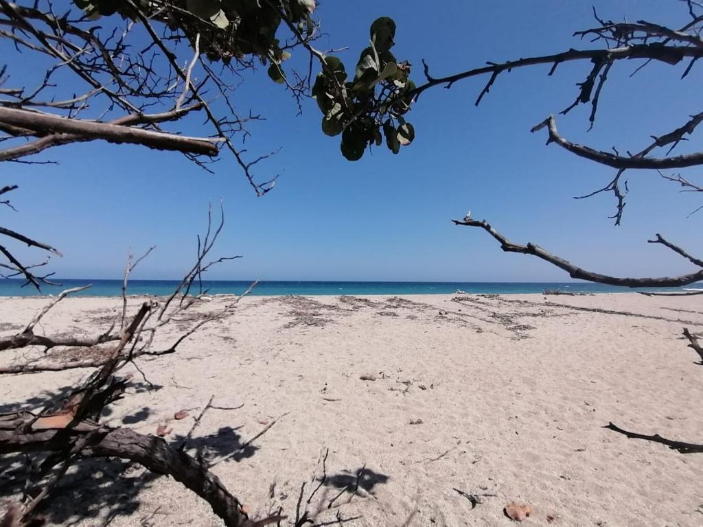 圣玛尔塔MIVALS的一片空旷的海滩,前方有树木