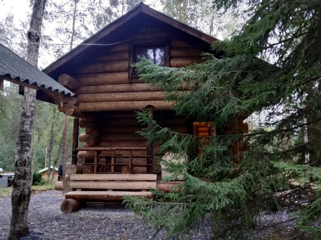 LumivaaraБаза отдыха Берлога的树林里的木头小屋