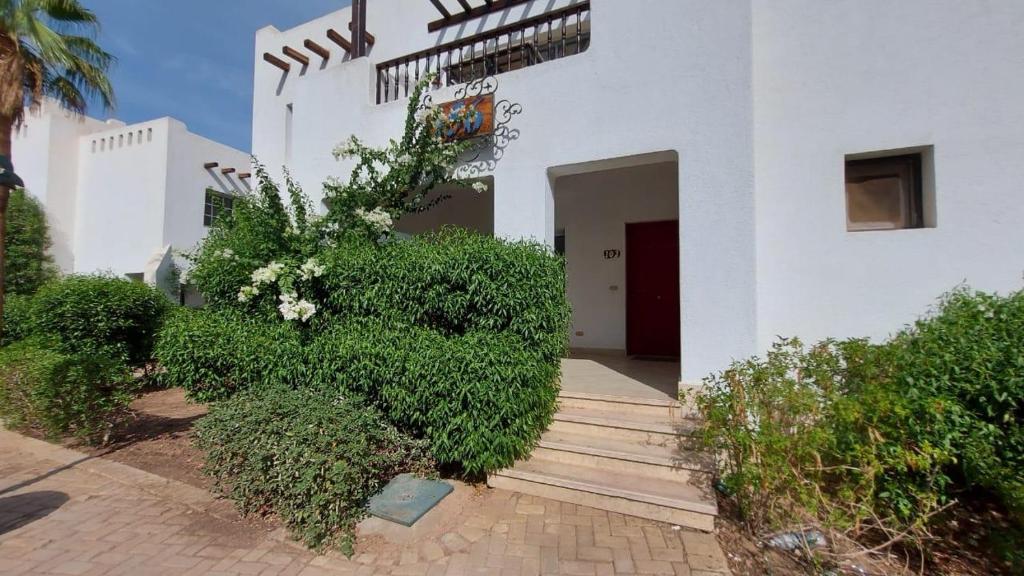 沙姆沙伊赫Delta Sharm Apartment 156 flat 102的白色的建筑,有楼梯和灌木丛