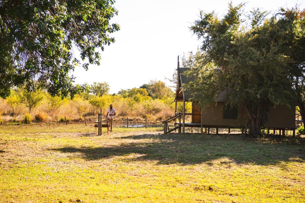 NgomaChobe River Campsite的站在树旁田野上的男人