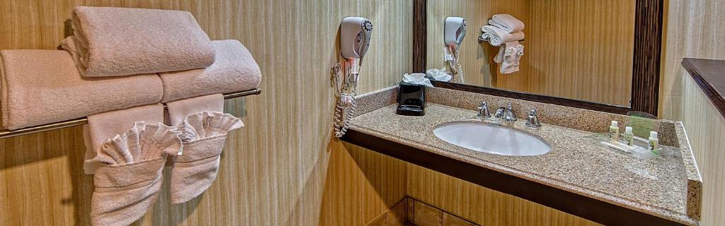 孟菲斯Clarion Hotel & Suites Conference Center Memphis Airport的一间带水槽和镜子的浴室