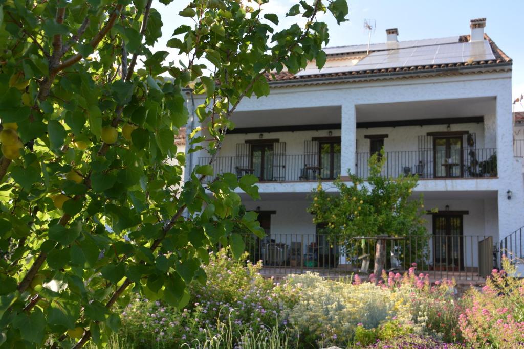 阿拉哈尔Posada San Marcos的一座古老的白色建筑,前面有一个花园