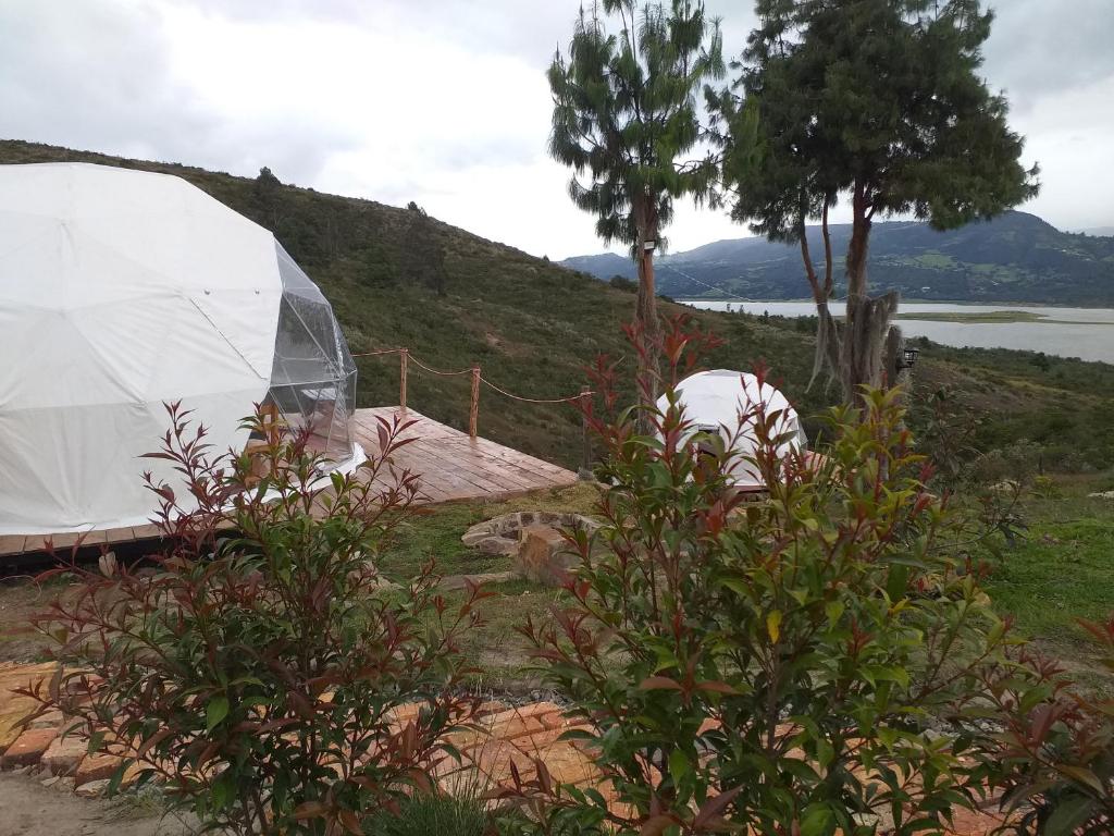 瓜塔维塔Glamping Bella Vista的水体旁山丘上的帐篷