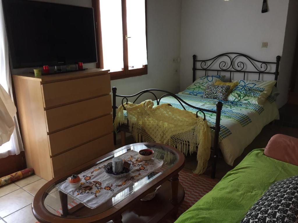 沙特努瓦Chambre spacieuse dans joli village alsacien的一间卧室配有一张床、一张桌子和一台电视。