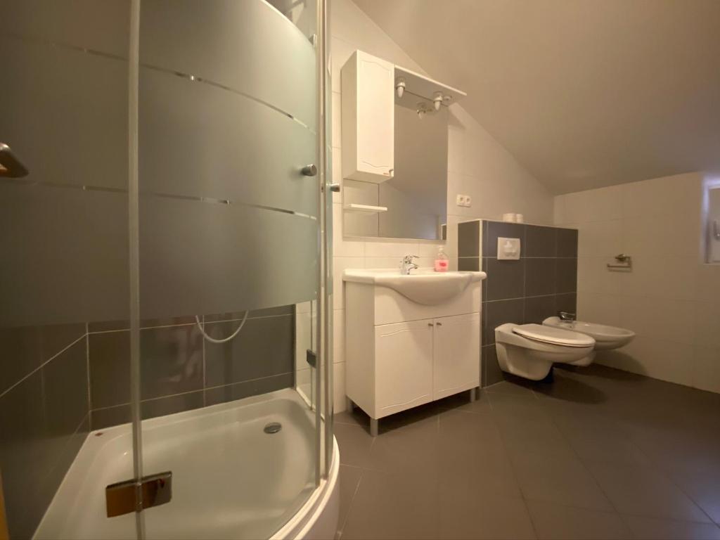 格拉达茨Apartments Grozdana的带淋浴、盥洗盆和卫生间的浴室