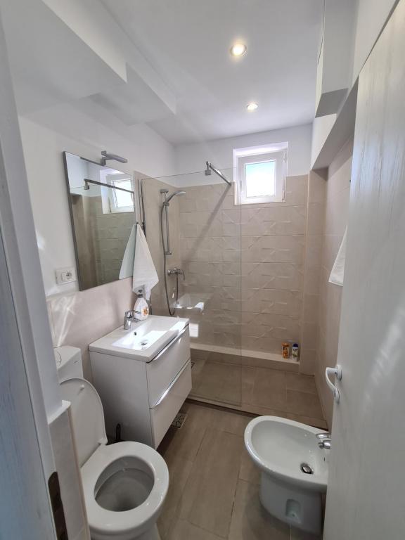 图尔恰Mia Apartament的浴室配有卫生间、盥洗盆和淋浴。