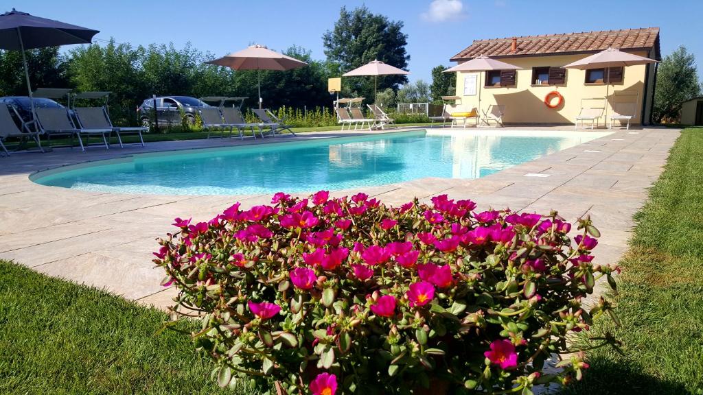 里帕尔贝拉Punta dei Lecci的一座房子前方的游泳池,上面有粉红色的花朵