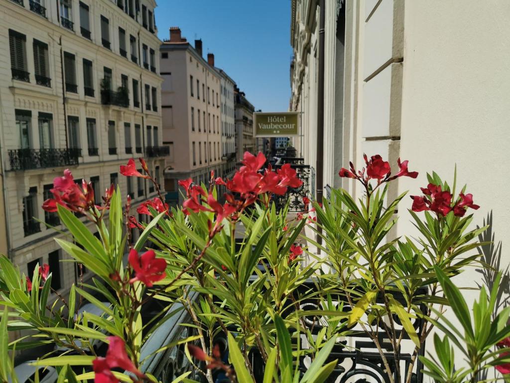 里昂瓦贝库酒店的城市街道上一群红色的鲜花