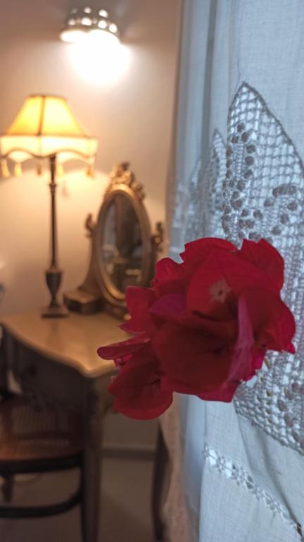 阿波罗尼亚Sifnos View的红花在床边