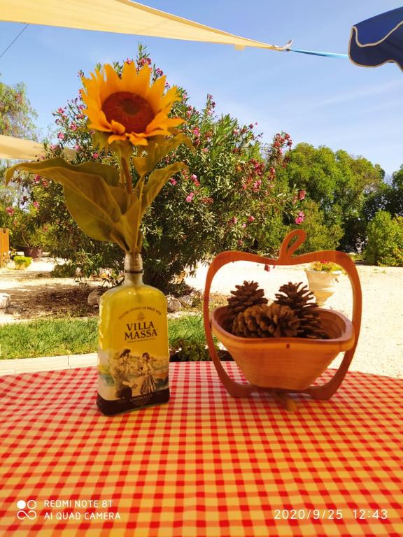 拉戈斯自然之家度假屋的花瓶,花瓶和一碗松果