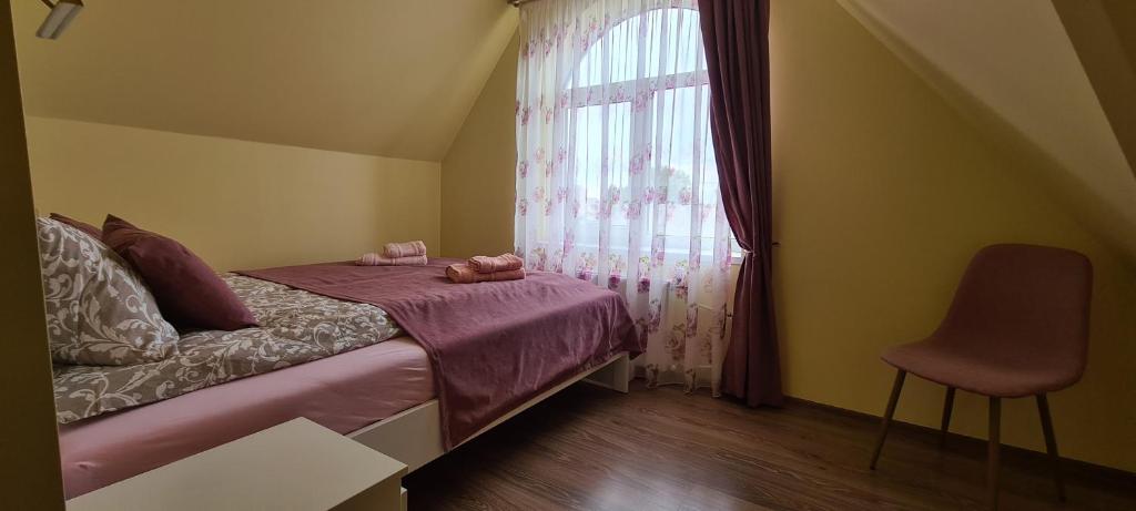 帕内韦日斯Sauliaus apartamentai VIP的一间小卧室,配有床和窗户