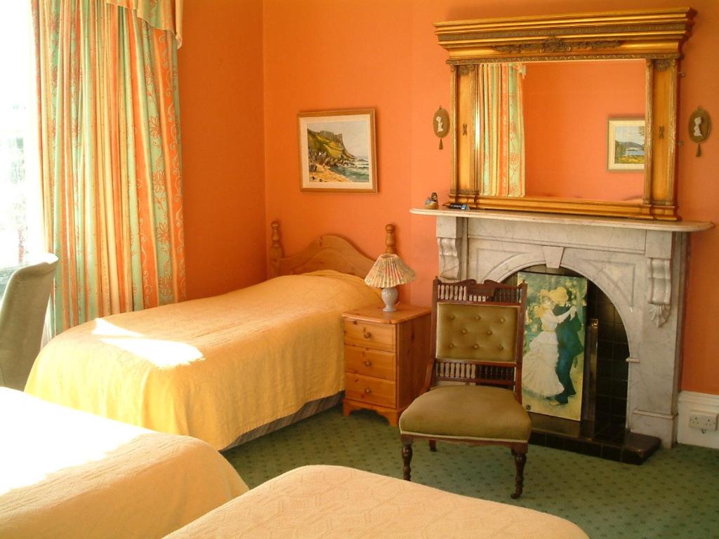 邓莱里克莱蒙特之家旅馆的一间卧室设有两张床和一个带镜子的壁炉