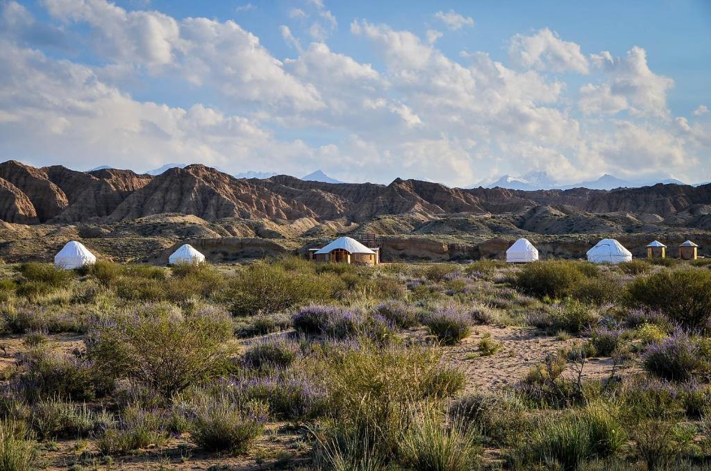 Ak-SayFeel Nomad Yurt Camp的一群在沙漠中与山 ⁇ 交织的帐篷