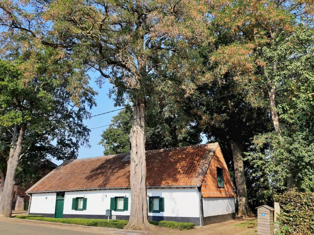 TieltLemen huis Houwaart的白色绿色的树屋