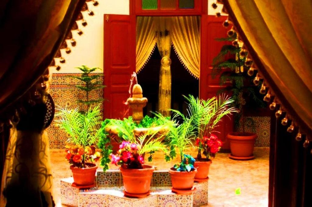 乌季达Dar Al Fassia的楼梯间里一群盆栽植物