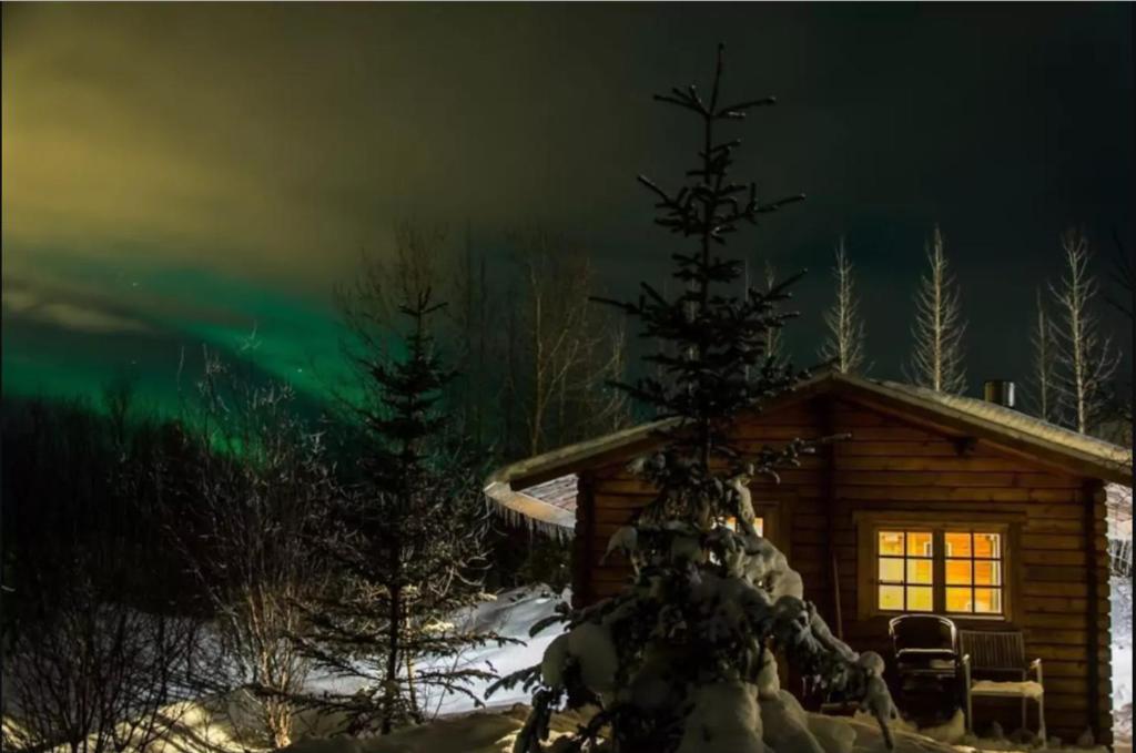 弗吕济Arngrimslundur log cabin - cabin 3的天空中北极光小屋的图像