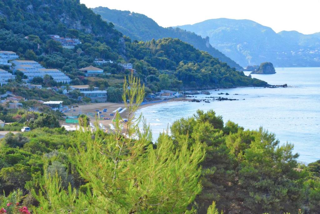派莱卡斯Corfu Resorts Villas的享有树木繁茂的海滩和大海的景致。