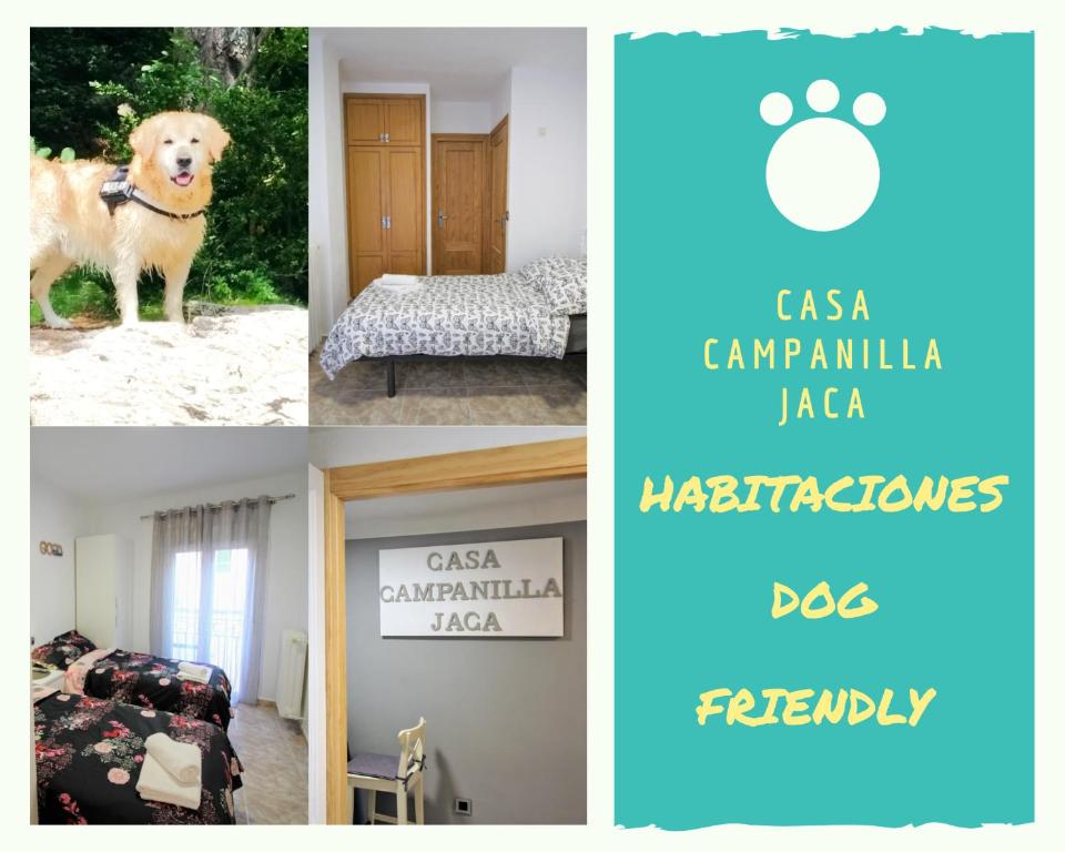 哈卡Casa Campanilla Jaca的相册照片