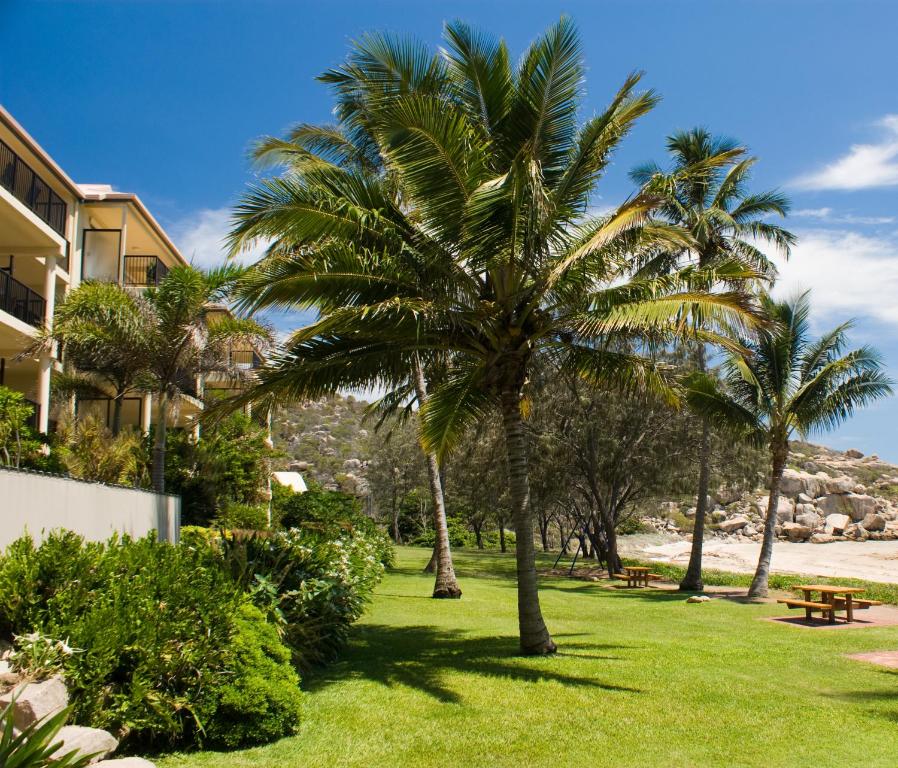 鲍恩玫瑰湾度假酒店的棕榈树公园和野餐桌