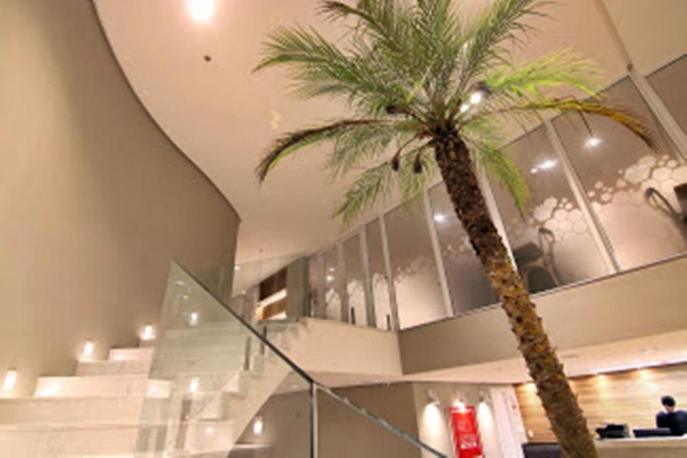 卡波布里奥Flat Edifício Royale 305的一座带楼梯的建筑中的棕榈树