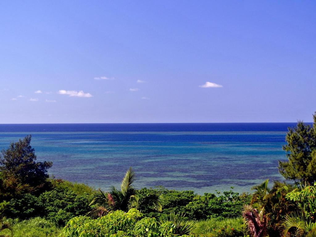 石垣岛野底海滩乡村酒店的从山丘上欣赏海景