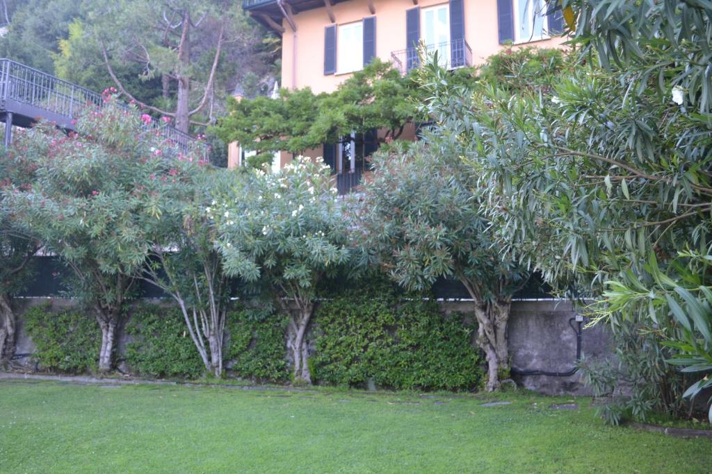 卡拉泰乌廖尼娜雷莱斯别墅精品住宿加早餐旅馆的一座花园,在房子前面有树木和灌木