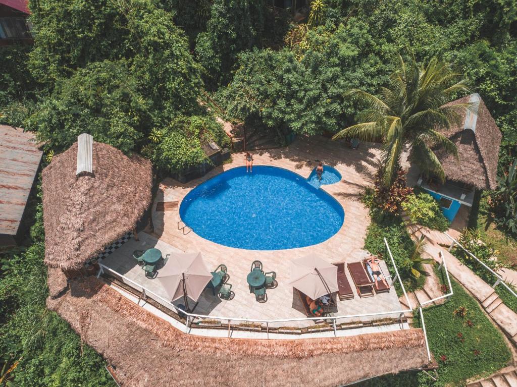 马尔多纳多港瓦赛普尔托玛尔多纳多生态旅馆的享有带椅子和棕榈树的游泳池的顶部景致
