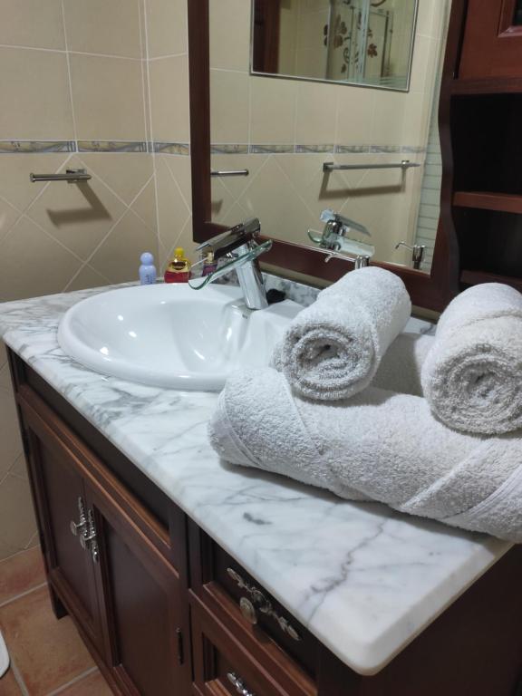 罗萨里奥港Vivienda vacacional的浴室水槽和台面上的毛巾